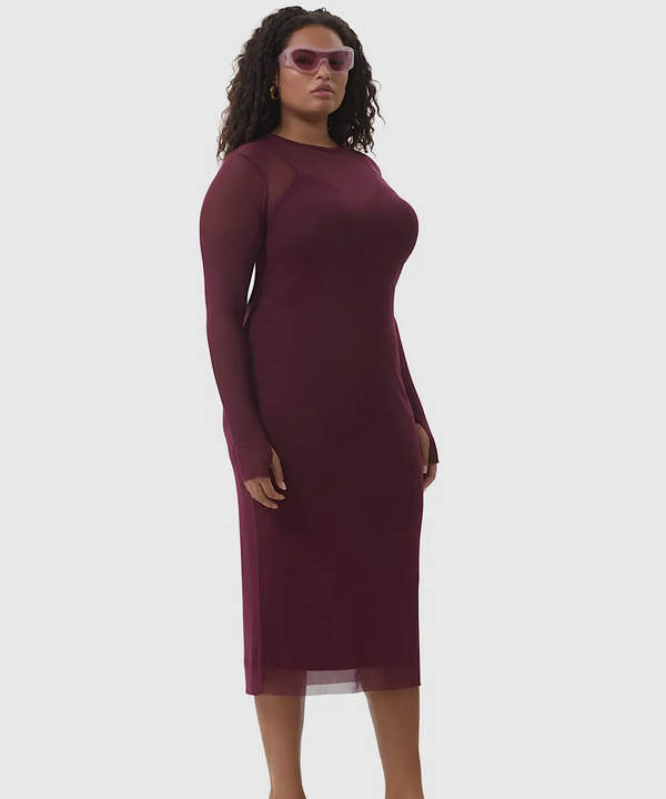 The Ashland Mesh Bodycon Dress